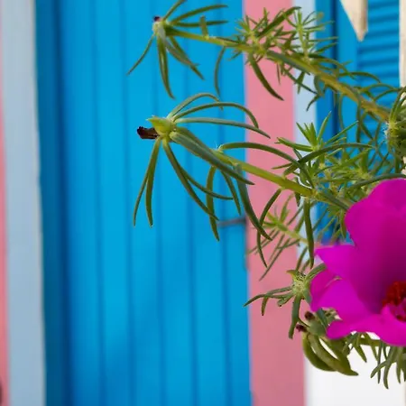 Lejlighedshotel Miltiadis 2*