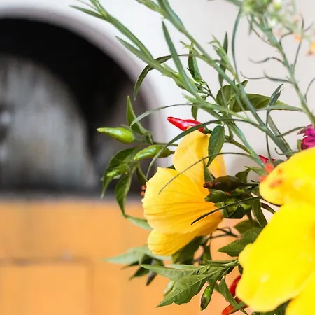 Lejlighedshotel Miltiadis 2*