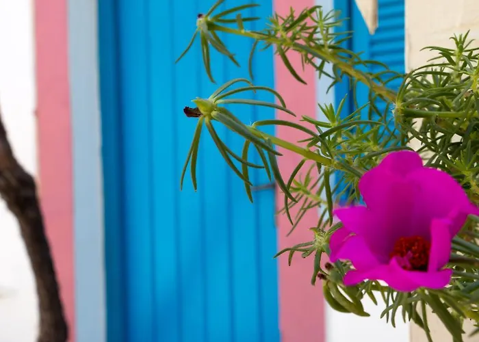 アパートホテル Miltiadis 2*