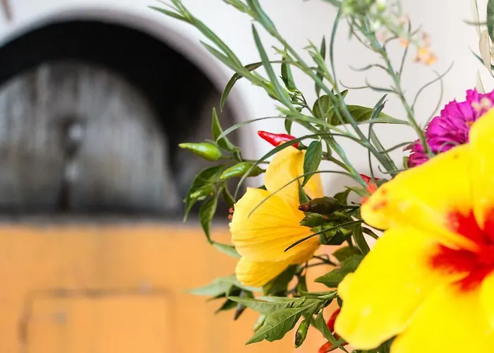 アパートホテル Miltiadis 2*