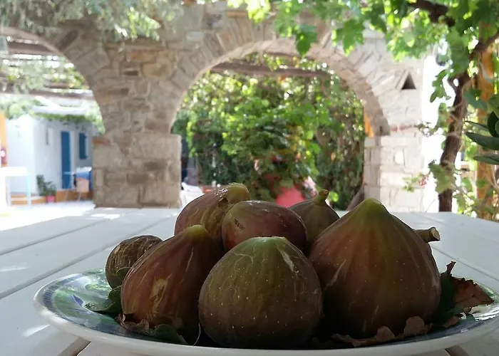 Miltiadis 2* アベラス