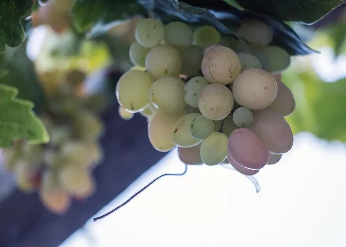 Miltiadis Ξενοδοχείο με διαμερίσματα